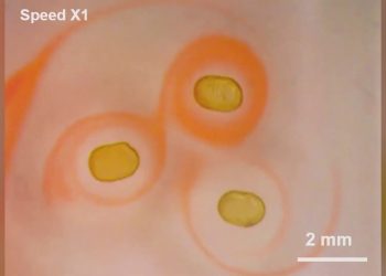 A new magnetic properties similar to solid magnets but with liquid characteristics