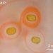 A new magnetic properties similar to solid magnets but with liquid characteristics