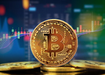 The Basics of Cryptocurrency Trading