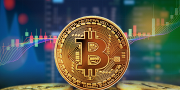 The Basics of Cryptocurrency Trading