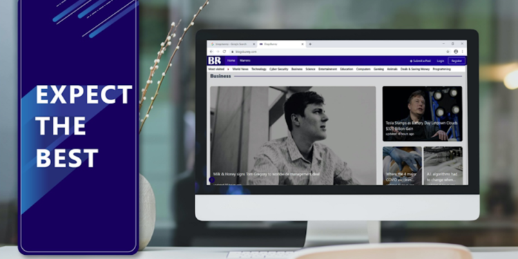 BlogsBunny Reviewed – Expect The Best