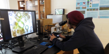 Mushrooms: Top side effects and health benefits for human