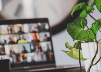 Top 4 online entertainment