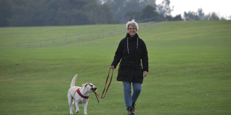 Hello, We only providing guest posting service and would love to publish your article on our Google News approved website christianscroll.org with a permanent do-follow link to your website. However, we charge $30 for publishing. Although you need to provide us the article. Our article requirements are: - Must be 100% unique and high quality. - Must be Technology/Health/Entertainment/Business related. - Must have at least 300 words. - Maximum 2 links are allowed in an article. - TAT 12 to 48 hours. Links to Adult and Black Magic related sites are strictly forbidden. If you have any other questions, please do not hesitate to ask :)