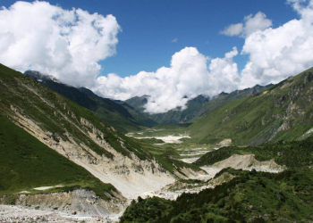 Conservation Efforts for mountain