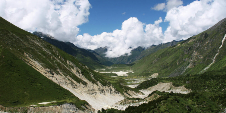 Conservation Efforts for mountain