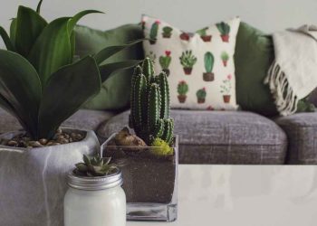 Creating a Safe Haven 7 Home Maintenance for Peace of Mind