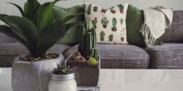 Creating a Safe Haven 7 Home Maintenance for Peace of Mind