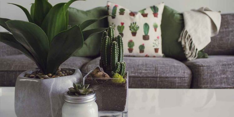 Creating a Safe Haven 7 Home Maintenance for Peace of Mind