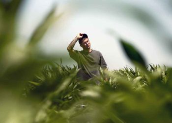 Unfolding the Legacy A Journey into the Life of Stefan Soloviev