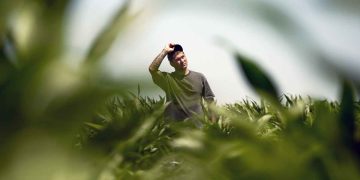 Unfolding the Legacy A Journey into the Life of Stefan Soloviev