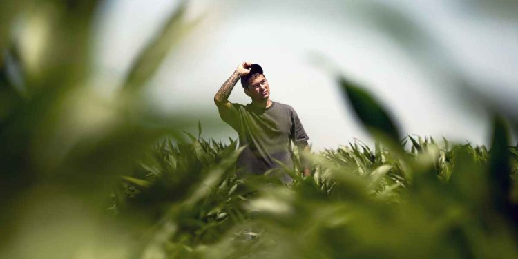 Unfolding the Legacy A Journey into the Life of Stefan Soloviev