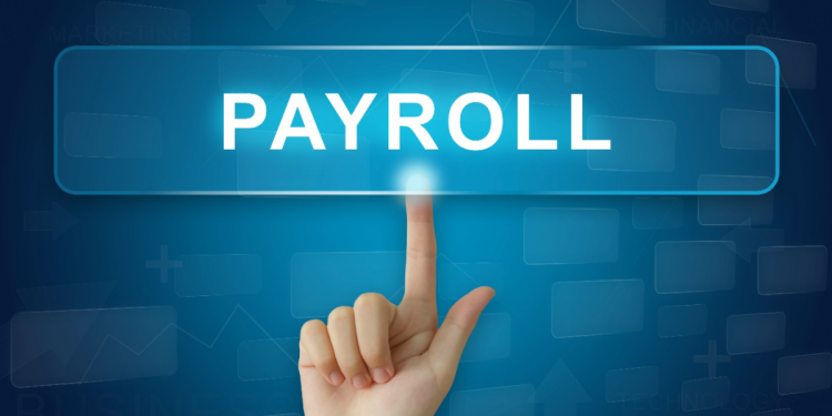 Selecting the Ideal Payroll Software for Your Business An In-Depth Guide