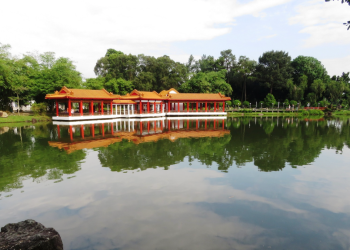 The Benefits of Tai Chi for Relaxation in Singapore's Parks