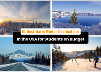 10 Best Warm Winter Destinations in the USA for Students on Budget