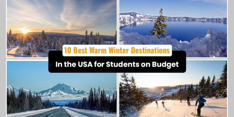 10 Best Warm Winter Destinations in the USA for Students on Budget