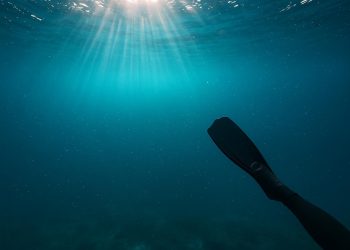 Clear blue ocean with sunlight penetrating water, showcasing underwater visibility during a dive