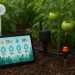 Automated smart garden system with sensors and connected devices nurturing healthy plants