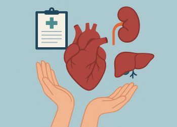 Organ donation process illustration highlighting types and benefits of life-saving organ transplants
