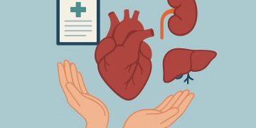 Organ donation process illustration highlighting types and benefits of life-saving organ transplants
